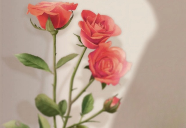 祝天下女神們節(jié)日快樂！??！